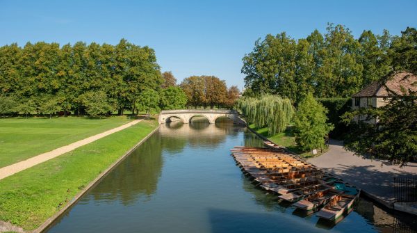 pexels-jean-luc-benazet-753072919-19025220